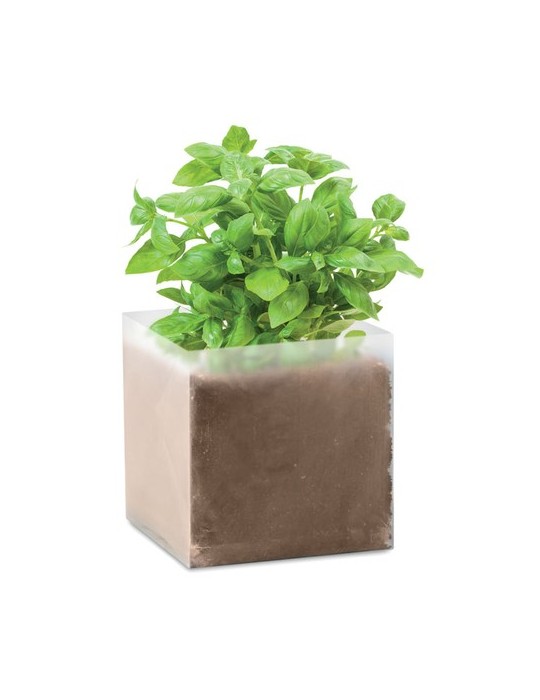Substrat avec Graines de Basilic - Pratique pour Jardiniers