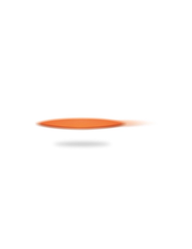 Frisbee Nylon Pliable Personnalisé : Cadeau Idéal ATRAPA pas cher