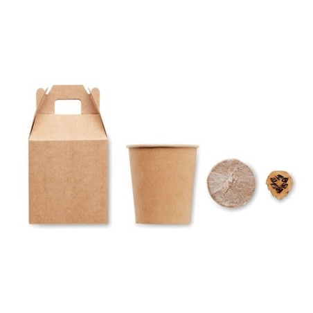 Set Éco-responsable de Graines Personnalisé GROWTREE™ Matières : papier Couleurs : beige personnalisable avec votre logo