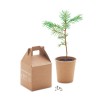 Set Éco-responsable de Graines Personnalisé GROWTREE™ Matières : papier Couleurs : beige cadeau entreprise pas cher