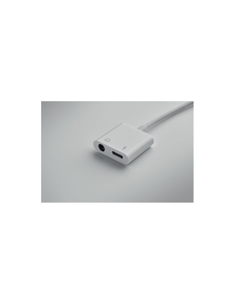 Répartiteur audio  ABS type C KOENET