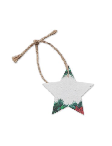 Décoration  personnalisée - Cadeau d'entreprise STARSEED