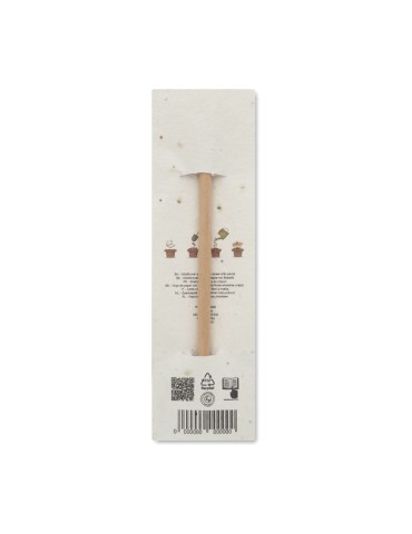Crayon à Papier et Pratique - PENSEED