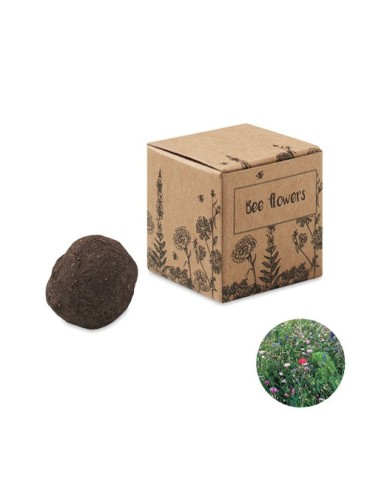 Bombe Graines Fleurs d'Abeille - et Pratique