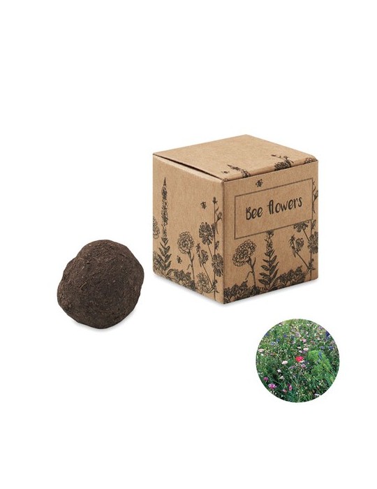 Bombe Graines Fleurs d'Abeille - et Pratique