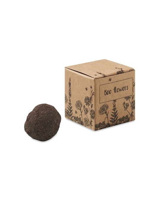 Bombe Graines Fleurs d'Abeille - et Pratique