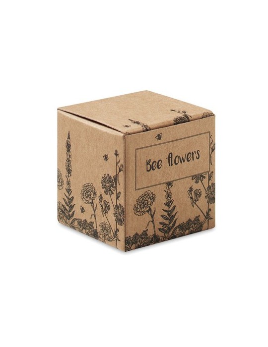Bombe Graines Fleurs d'Abeille - et Pratique