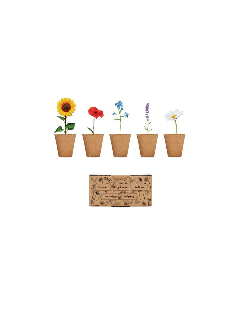 Kit de Culture de Fleurs à personnaliser
