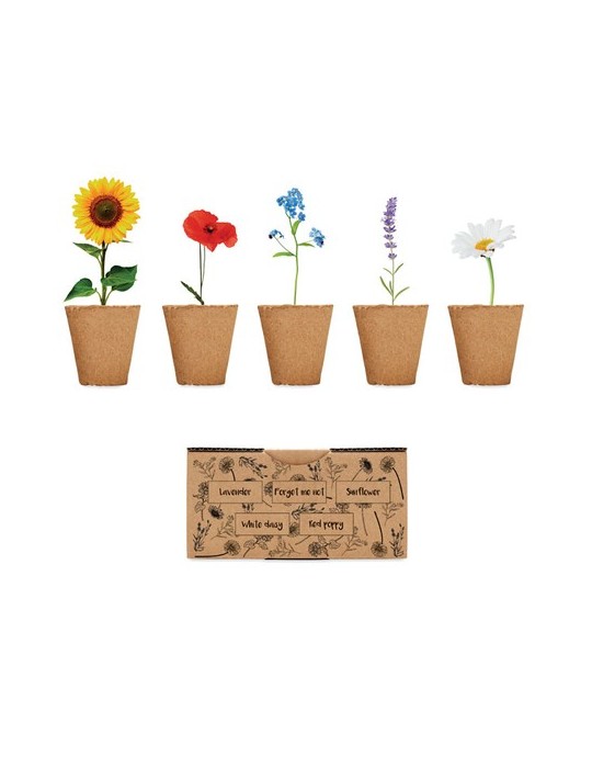 Kit de Culture de Fleurs à personnaliser