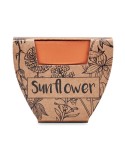 Pot graines de tournesol  et personnalisé | Cadeaux s