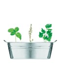 Bac en zinc avec herbes aromatiques - personnalisée pas cher