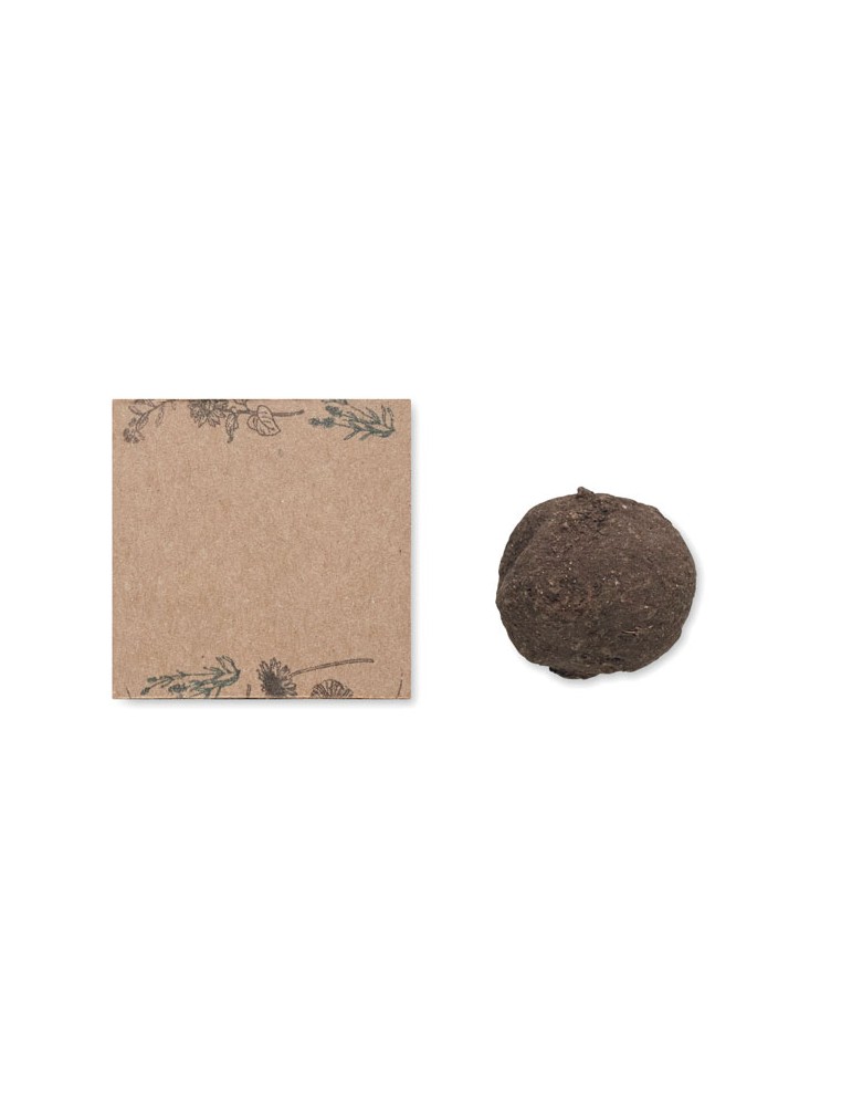 Boule de Graines de Fleurs Sauvages & Pratique - Goodies