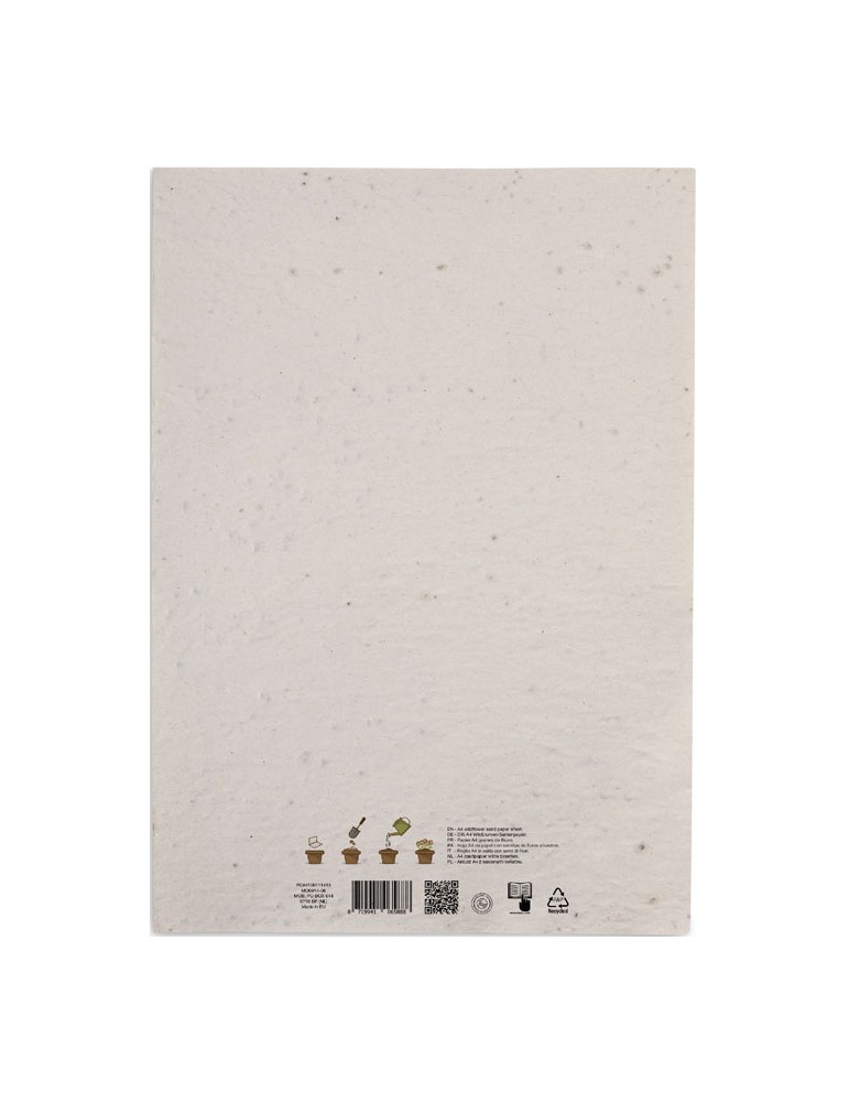 Papier A4 Graines de Fleurs - et Unique Personnalisée pas cher