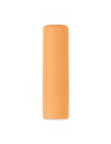 Baume à lèvres végan VEGAN GLOSS - Protecteur