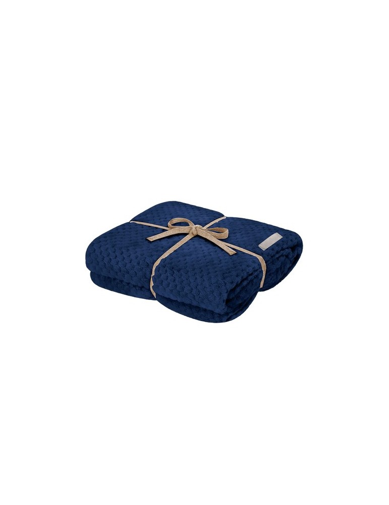 Couverture Iridian