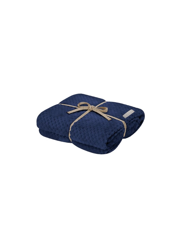 Couverture Iridian
