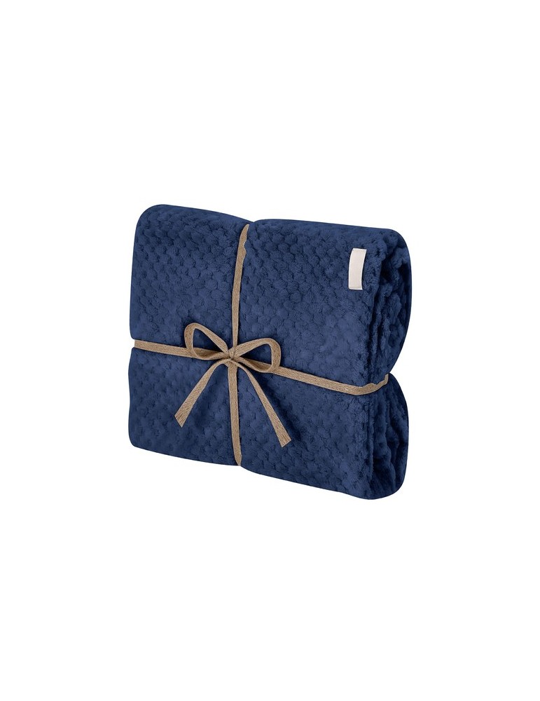 Couverture Iridian
