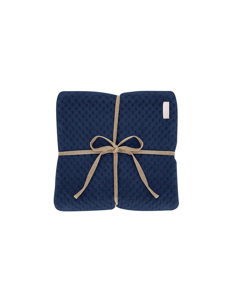 Couverture Iridian