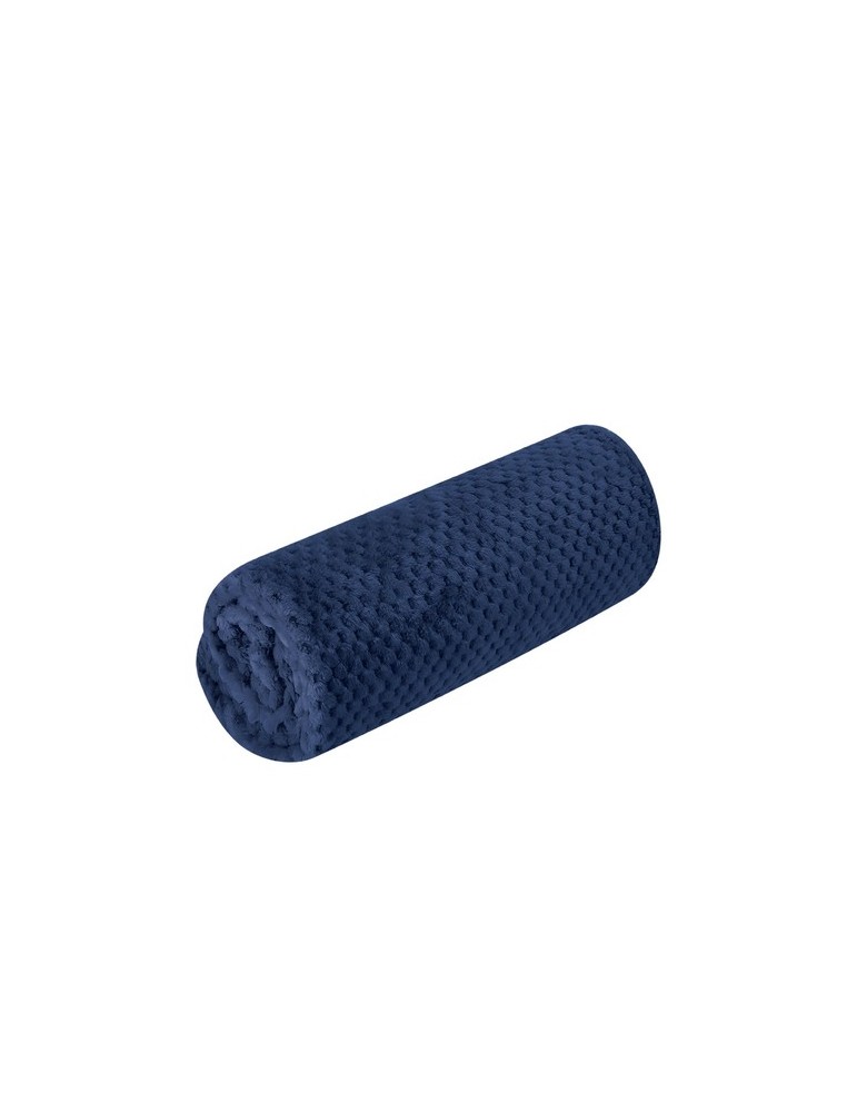 Couverture Iridian