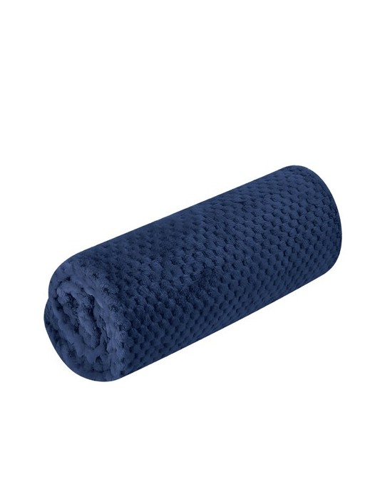 Couverture Iridian