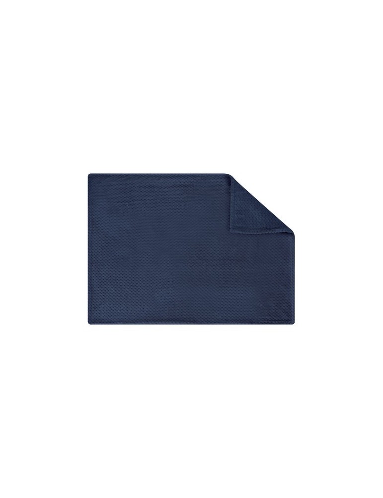 Couverture Iridian