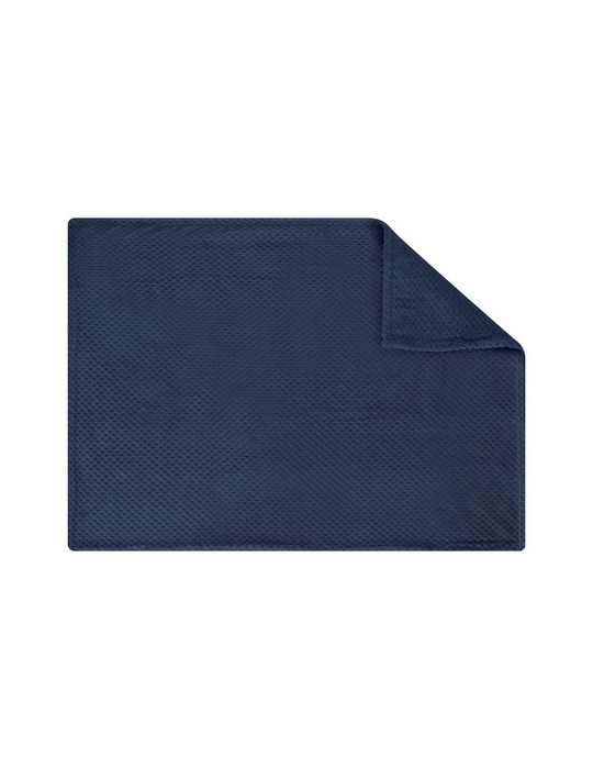 Couverture Iridian