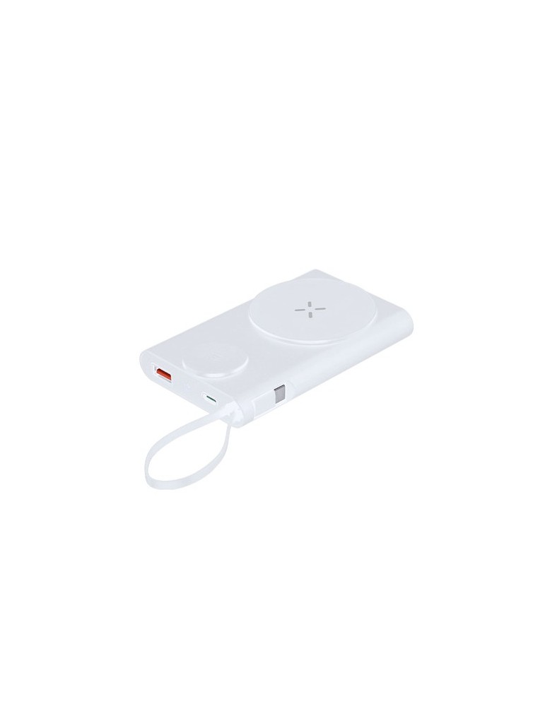 Power Bank Barian