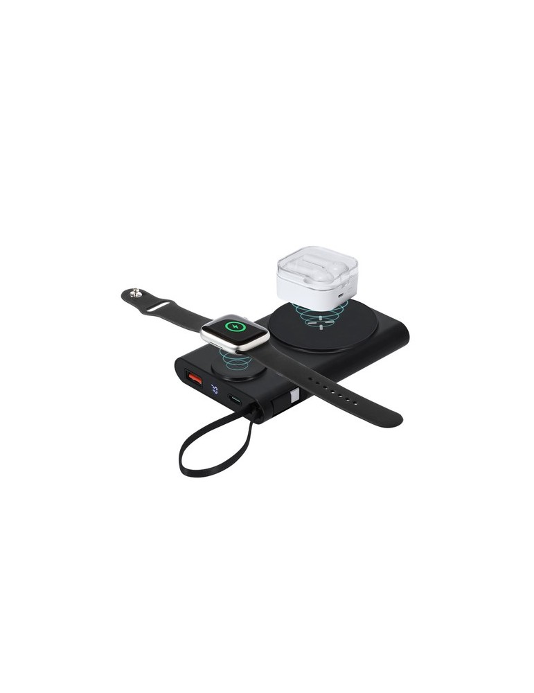 Power Bank Barian