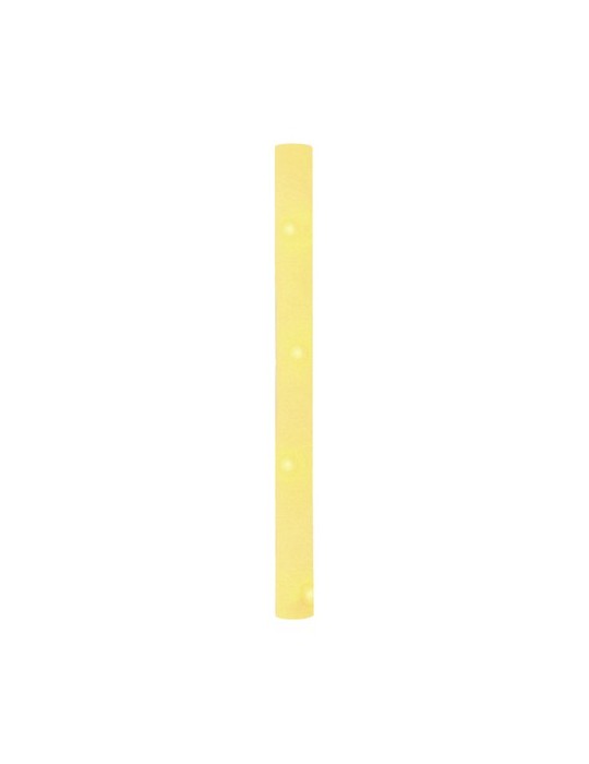 Bâton Lumineux Nociox