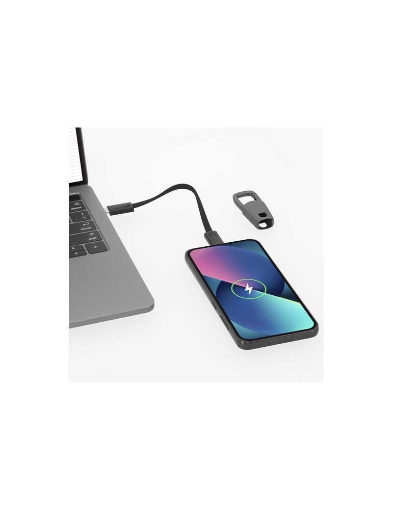 Câble de Charge Vinox