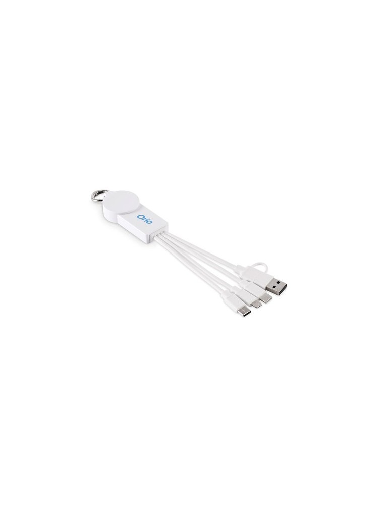 ICAB Câble de 2 en 1 type C