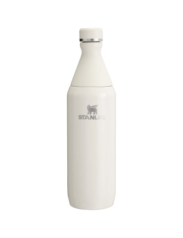 Bouteille d'eau de 600 ml Stanley All Day Slim 2