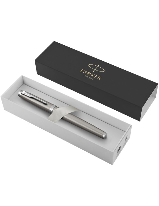 Stylo plume IM Parker (encre bleue)