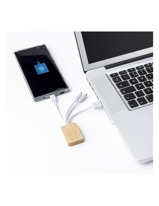 Câble de Charge en Bambou Personnalisé