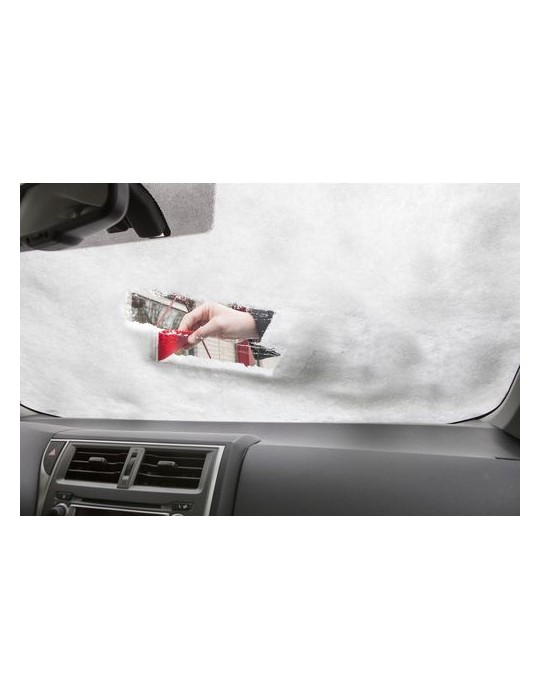 Gratte-neige Pratique et Personnalisé - Dolly