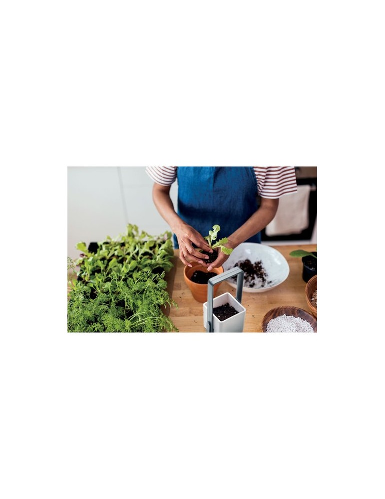 LUSHLET Jardin intérieur éclairage LED