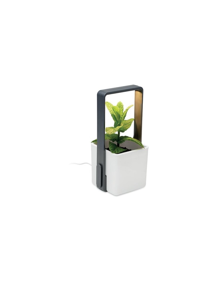 LUSHLET Jardin intérieur éclairage LED