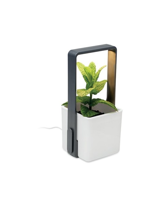 LUSHLET Jardin intérieur éclairage LED