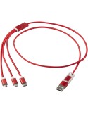 Câble de charge 5-en-1 de 100 cm, cadeau client | Versatile