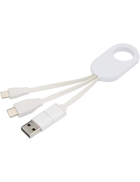 Câble de charge 4 en 1 à mousqueton, goodies | Troop
