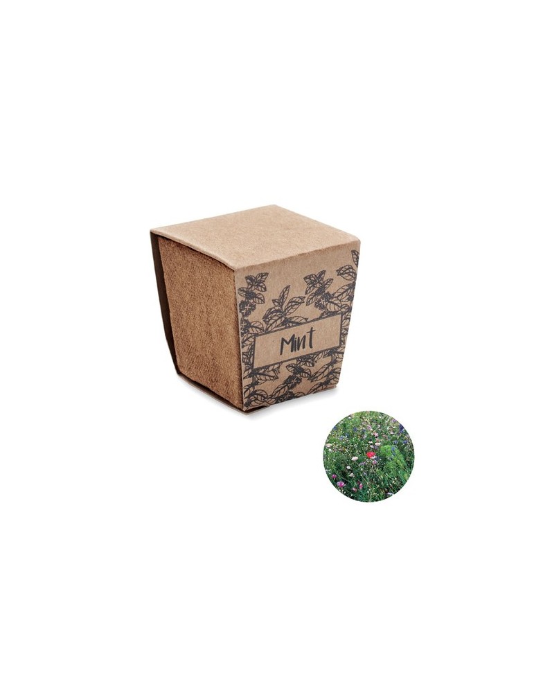 Kit de graines de menthe publicitaire MINT KIT