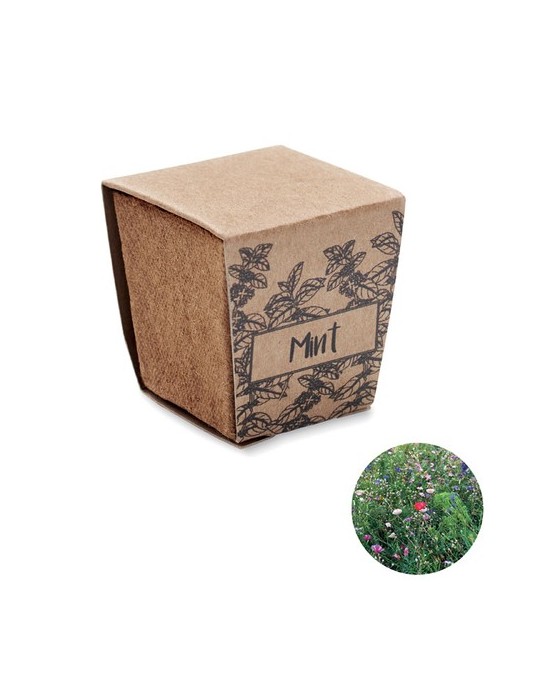 Kit de graines de menthe publicitaire MINT KIT