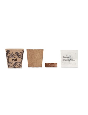Kit de graines de menthe publicitaire MINT KIT 2
