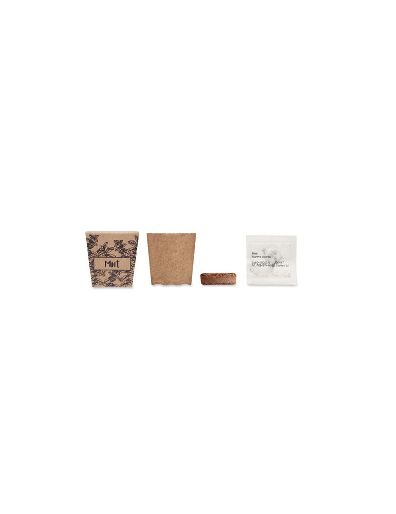 Kit de graines de menthe publicitaire MINT KIT