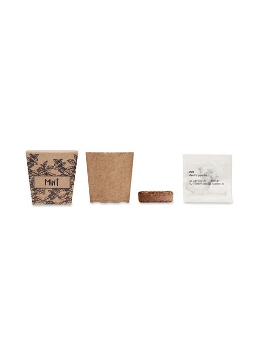 Kit de graines de menthe publicitaire MINT KIT