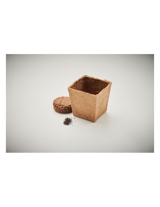 Kit de graines de menthe publicitaire MINT KIT