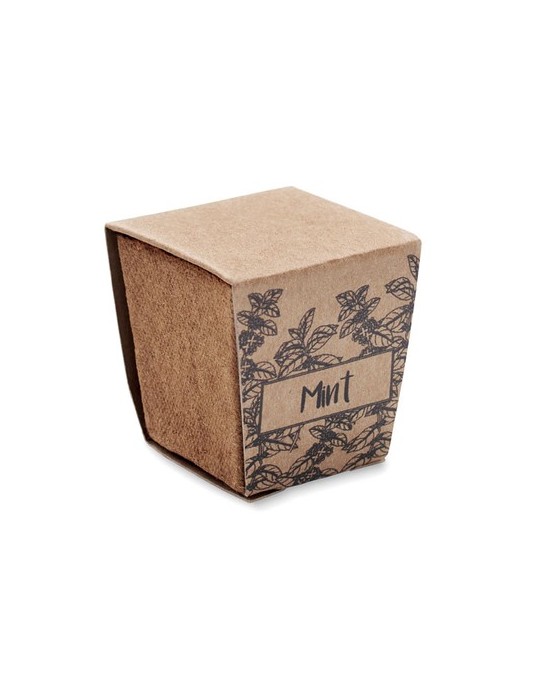 Kit de graines de menthe publicitaire MINT KIT