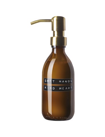 Distributeur de lotion pour les mains WELLmarkSoft Hands de 250 ml