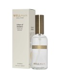 Spray d'ambiance 100 ml goodies voyage maison | Wellmark