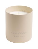 Bougie parfumée cire de soja cadeau luxe | Wellmark